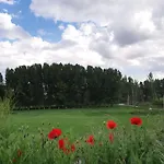 La Endrina Terriente