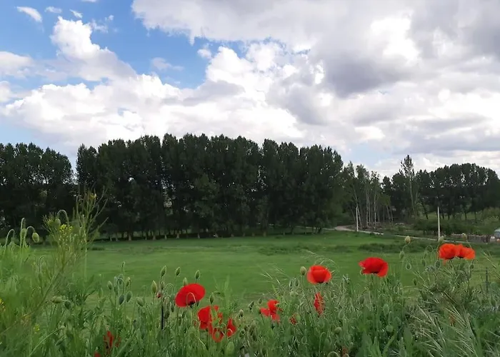 La Endrina Terriente